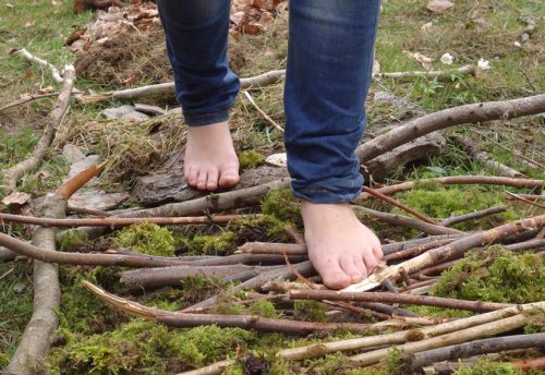 CRIE-foret-sens-dessus-dessous-2