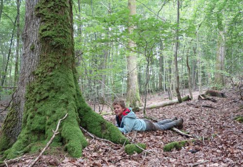 CRIE-foret-sens-dessus-dessous-6