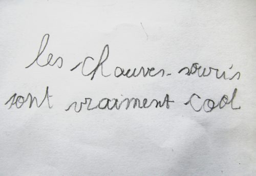 CRIE-reines-de-la-nuit-2