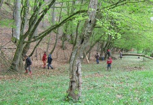 CRIE-sur-les-traces-des-animaux-en-foret-2