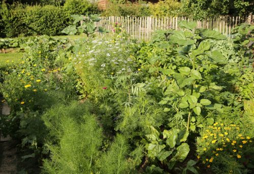 CRIE-introduction-permaculture-4