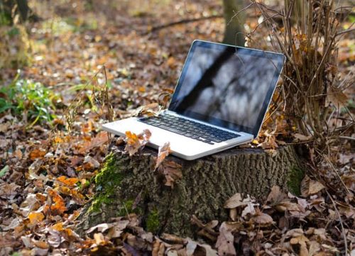 Newsletter-laptop-nature
