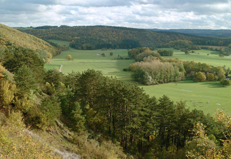 CRIE-découverte-paysages-3