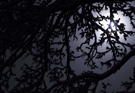 CRIE-osons-la-nuit-3