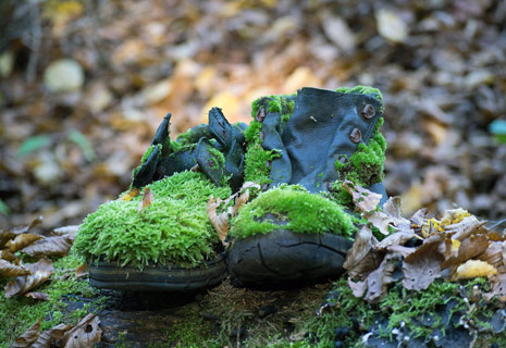 CRIE-rando-nature-3