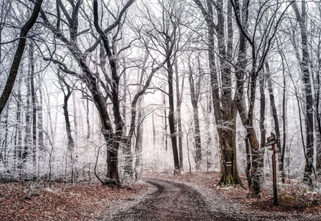 CRIE-rando-nature-hiver-3