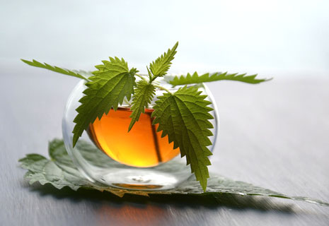 CRIE-ceuillir-ses-plantes-a-tisanes-2