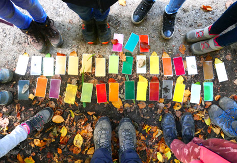 CRIE-palette-automne-2