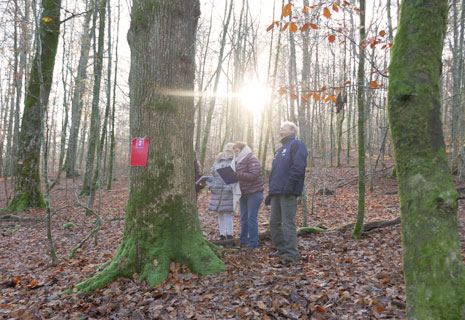 CRIE-NSR-automne2025