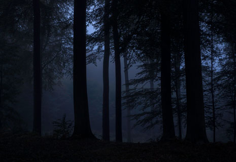 CRIE-songe-nuit-automne-4
