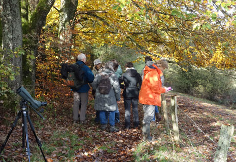 CRIE-enseignants-naturalistes-automne-2